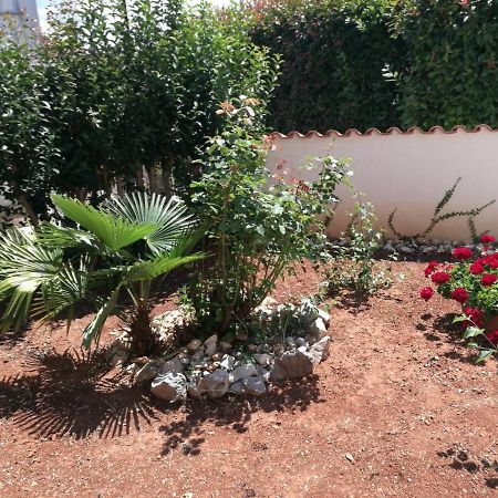 Ferienhaus Bozena Appartment 2 Vrsar Zewnętrze zdjęcie